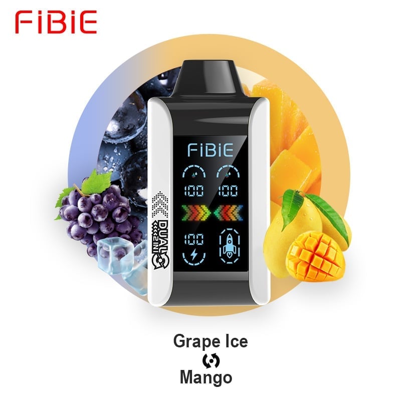 FIBIE 15000 Dual Flavors Disposable Vapor Wands(15000 PUFFS)  - 10 Flavors