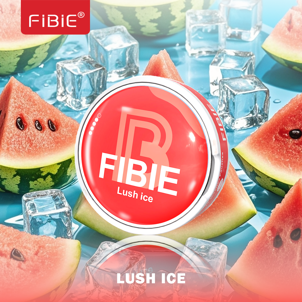 FIBIE Nicotine Pouches Zero Tobacco   (1 PACK 20 PCS)