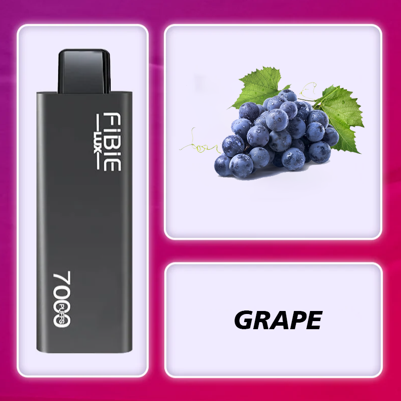 Grape Flavor Disposable Vape | FIBIE 7000 Puffs Black