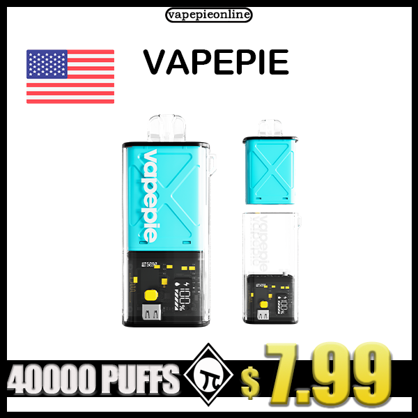 Blueberry Mint-Vapepie Disposable Pod 10000 PUFFS