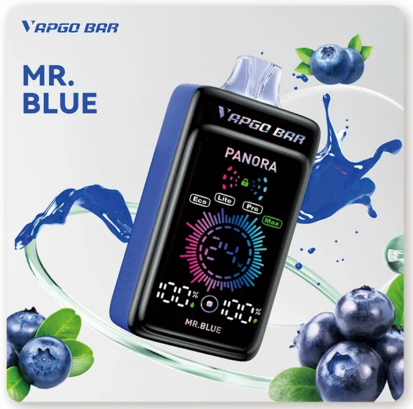VAPGOBAR Panora 25.000 Züge