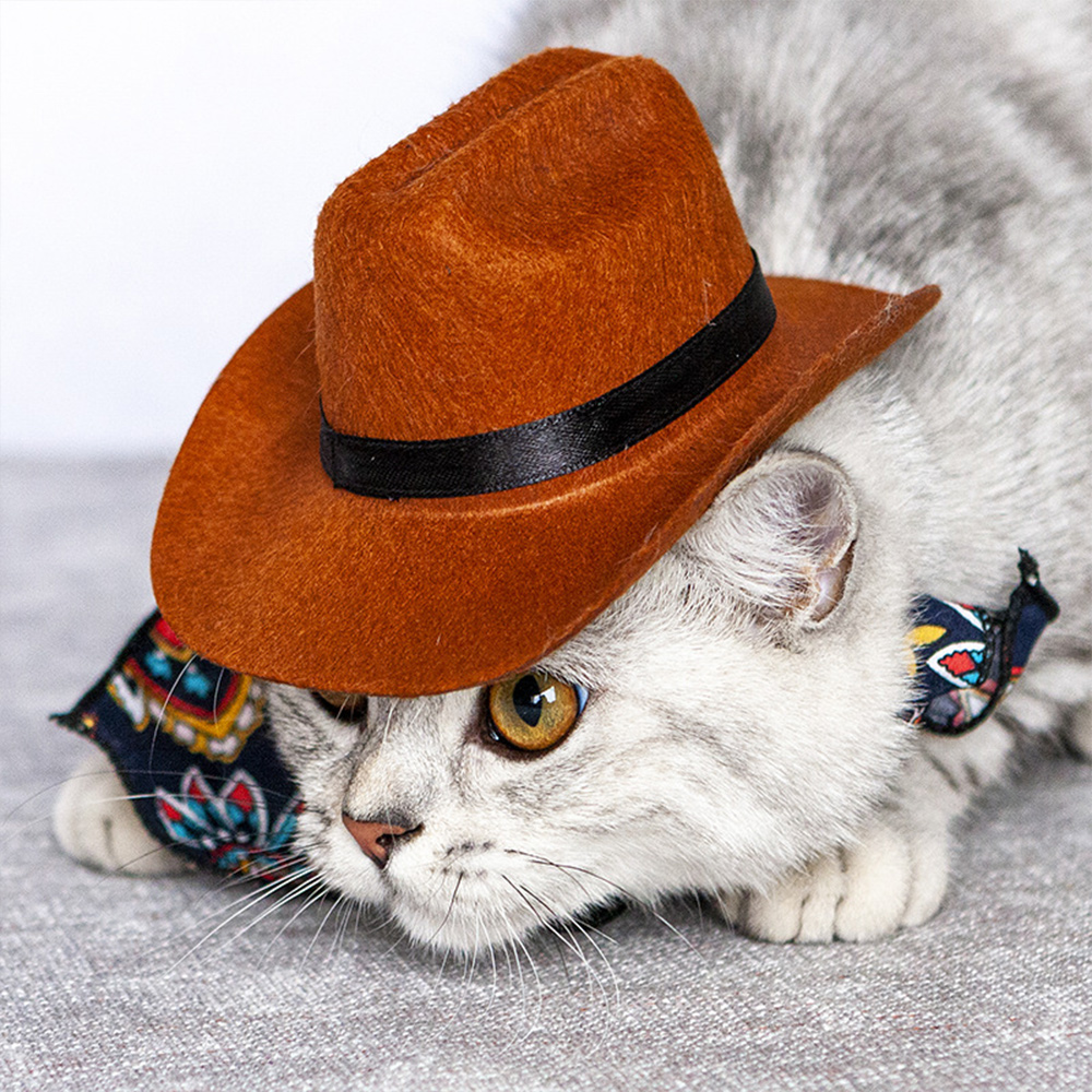 Castillotigo™ Conjunto de sombrero de vaquero para mascotas