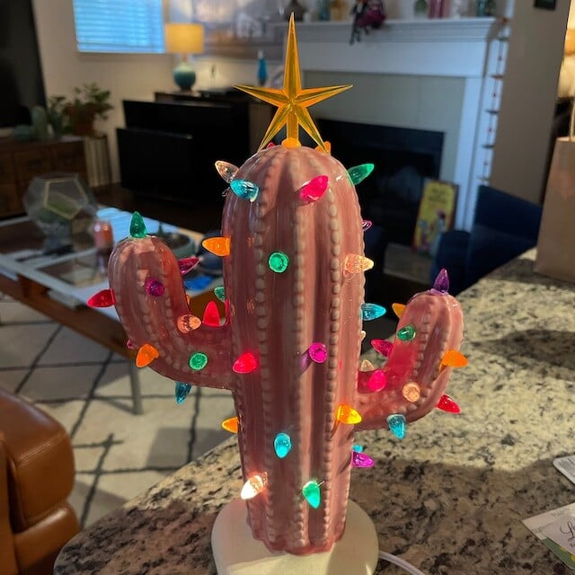 🌵Vintage Lovely Cactus (With Led Lights)