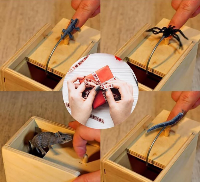 Frightening Box - A Great Gift