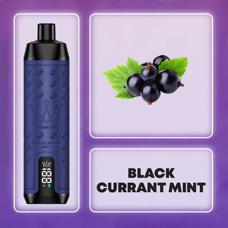 Al Fakher 12000 PUFFS 2.0 BLACKCURRANT MINT