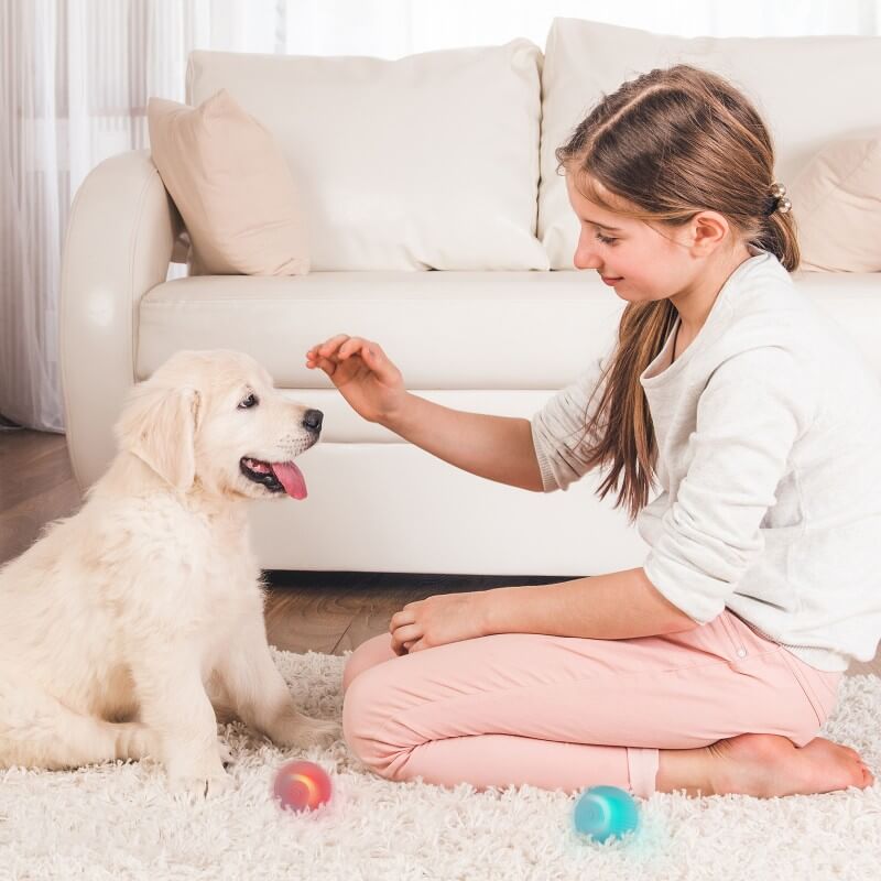 🎁Best Christmas Gift🎅Self-Moving Ball For My Dog/Cat
