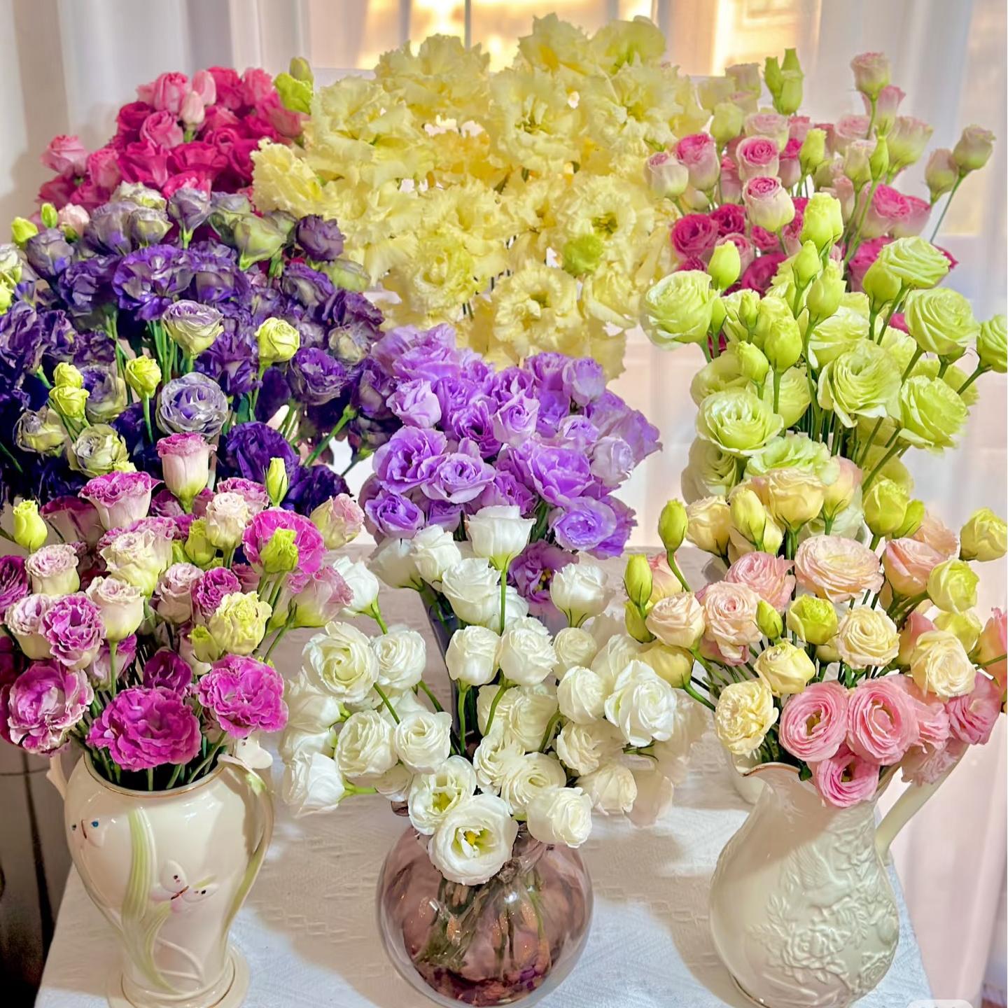 🔥Last Day 49% OFF - 🌺Eustoma Thornless Rose💐Lisanthus Seeds