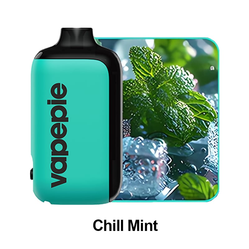 CHILL MINT & Vapepie AG 15000 PUFFS  (🔥Recommended by boss)