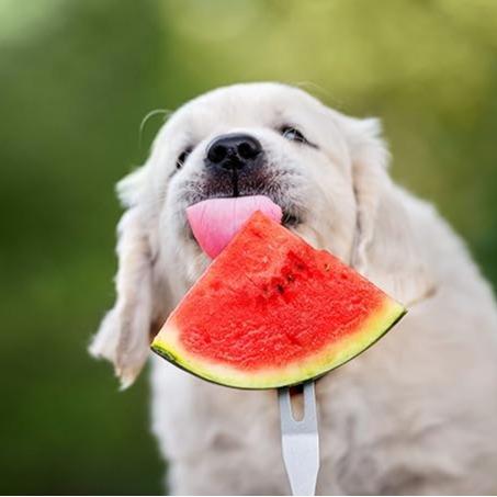 Lazy Man's Watermelon Seeds