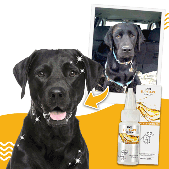 Rinsefree Fur Revitalize Conditioner Aerosolry