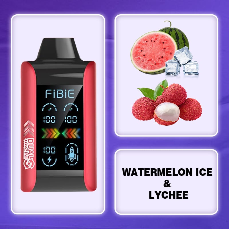 FiBiE 15000 Dual Flavors