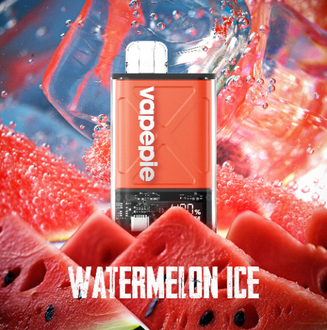 【U.S.】Vapepie Fv 12000 Puff Disposable Vape - Rich Flavor & Long-Lasting Power | Fast Shipping from California