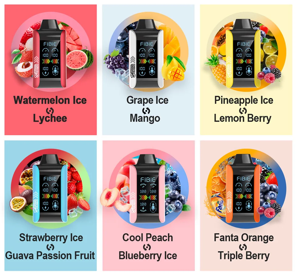 🎉6 Flavors Collection🎉FIBIE 15000 Dual Flavors