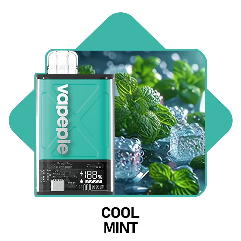 Cool Mint & VAPEPIE Ultra 12000 PUFFS （🔥Most people choose）