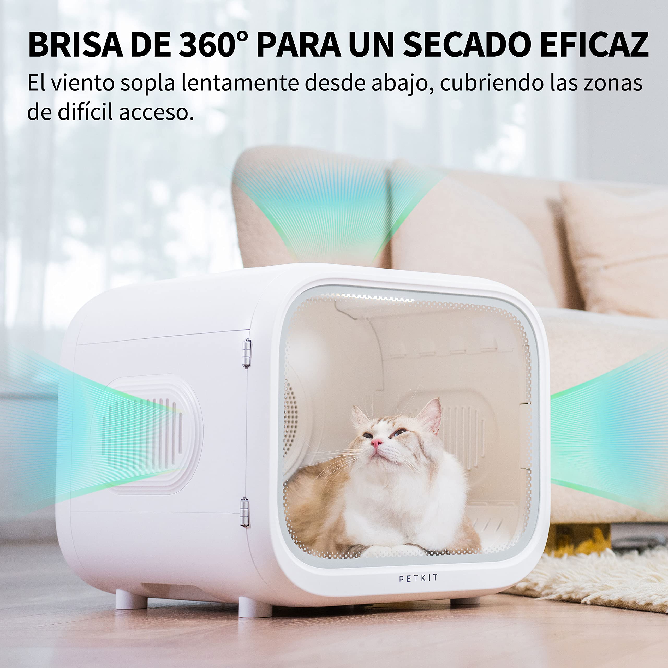 Secador automático de mascotas para perros y gatos, control inteligente de temperatura, silencioso