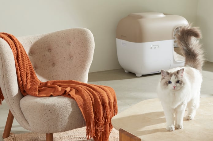 ⏰  Innovative Self-Cleaning Litter Box