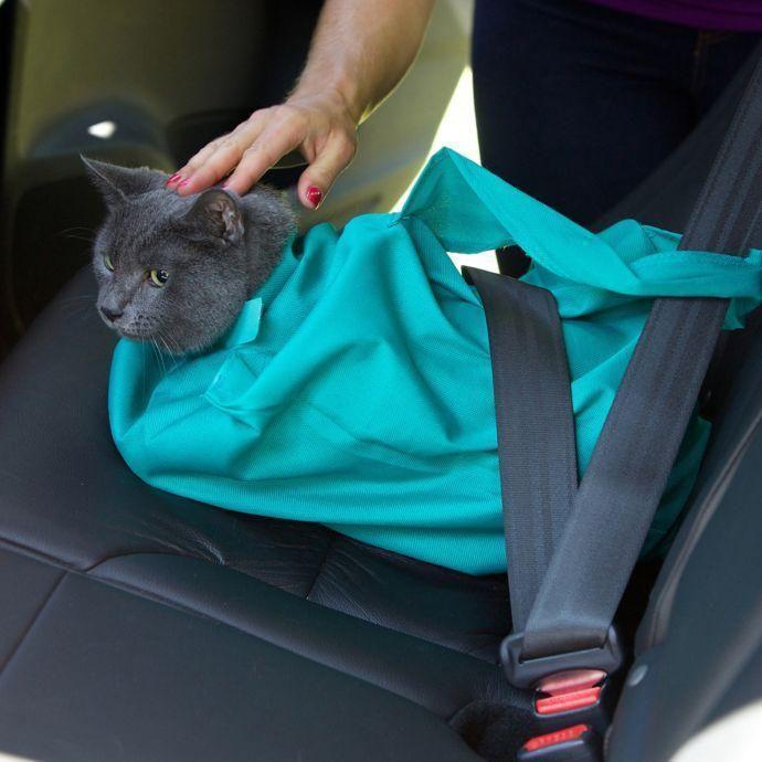 Higomore™ Cat Carry-Out Crossbody Bag