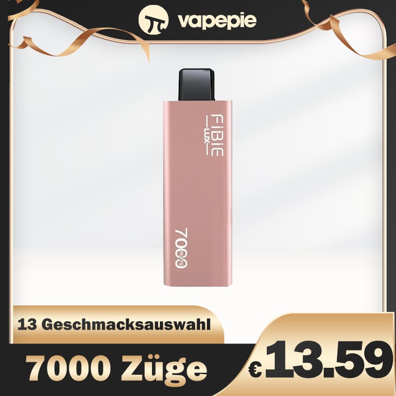 FiBiE 7000 Züge Lux