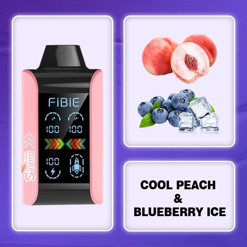 FIBIE 15000 PUFFS Dual Flavors 2.0