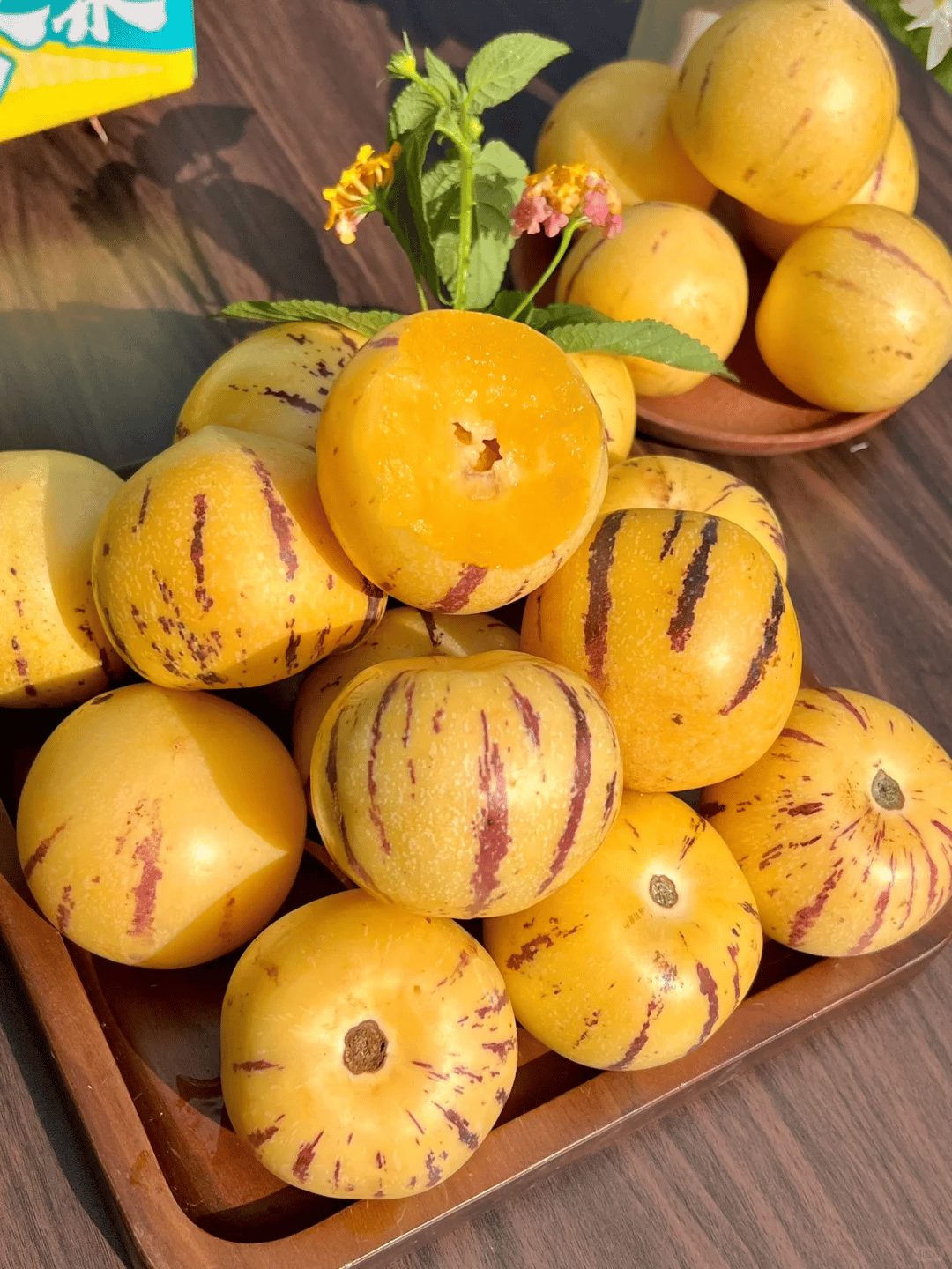 ✨️Rare ginseng fruit seeds🥭Rich in vitamins and minerals!