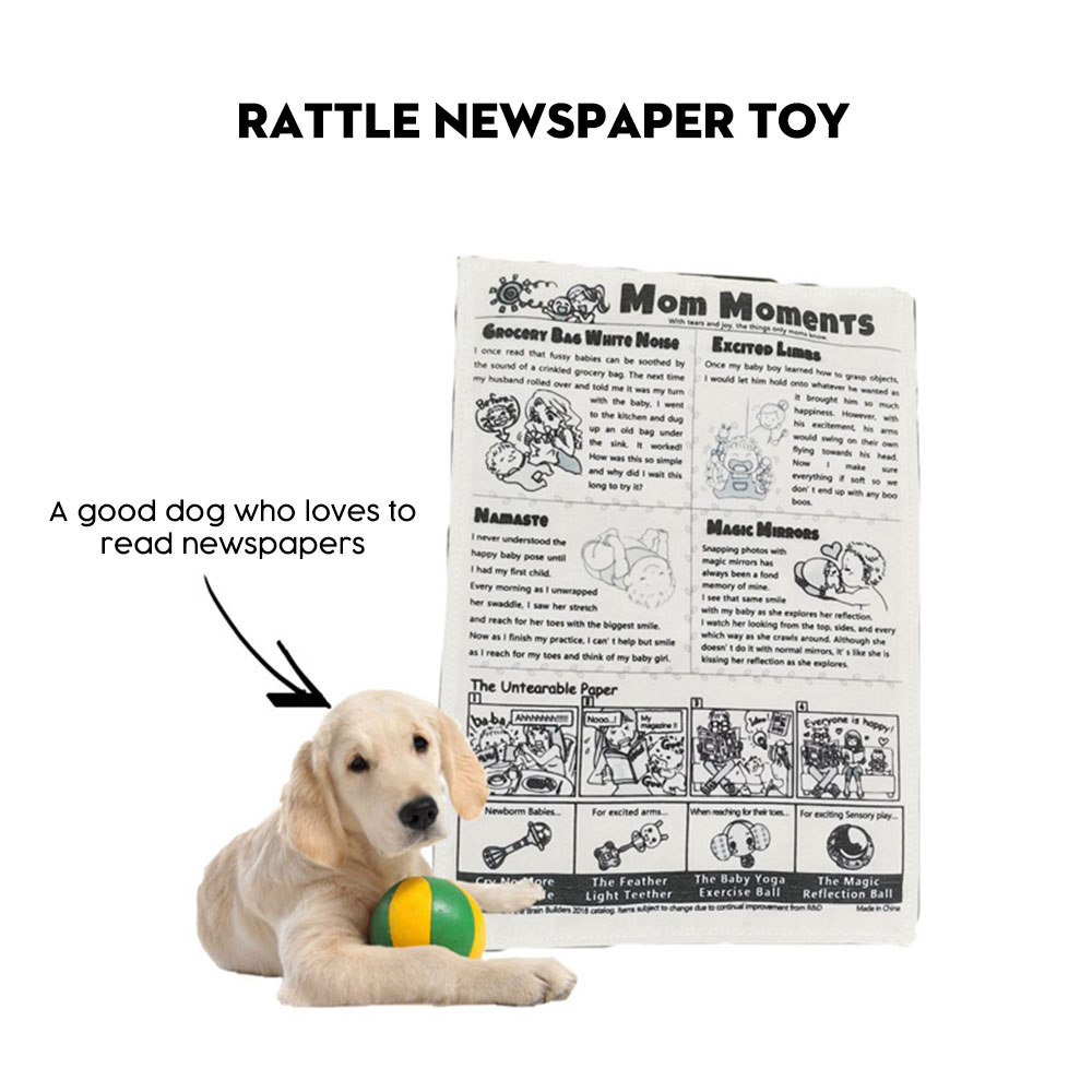 Higomore™ Black And White Pet Rattle Paper Newspaper Toy（Buy 1 get 1 free）