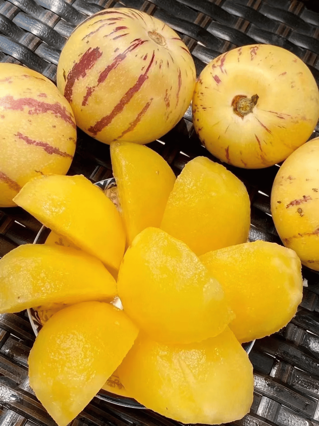 ✨️Rare ginseng fruit seeds🥭Rich in vitamins and minerals!