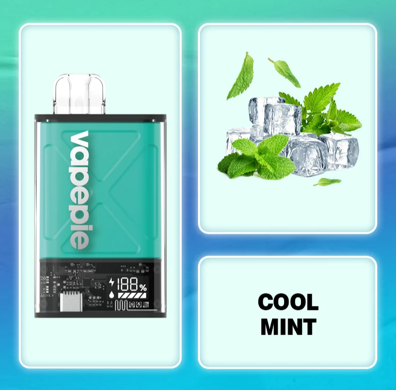 Cool Mint&Instabar Ultra 12000 PUFFS