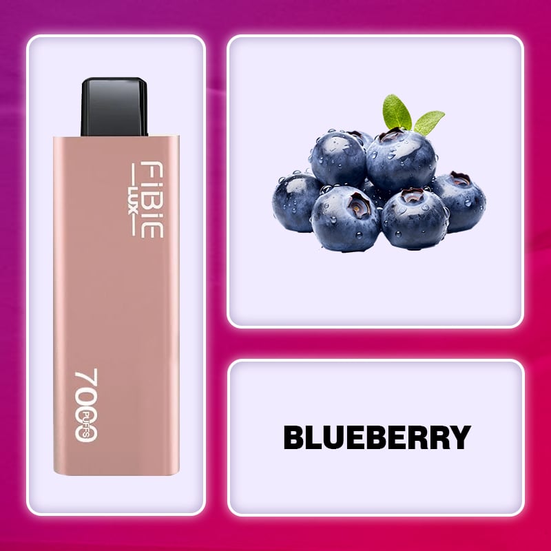 Blueberry Flavor Disposable Vape | FIBIE 7000 Puffs Pink