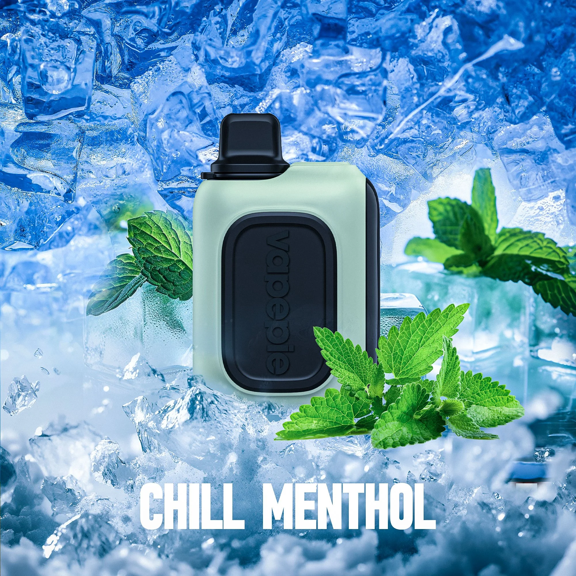 🎅Vapepie RO 15000 PUFFS----Chill Menthol