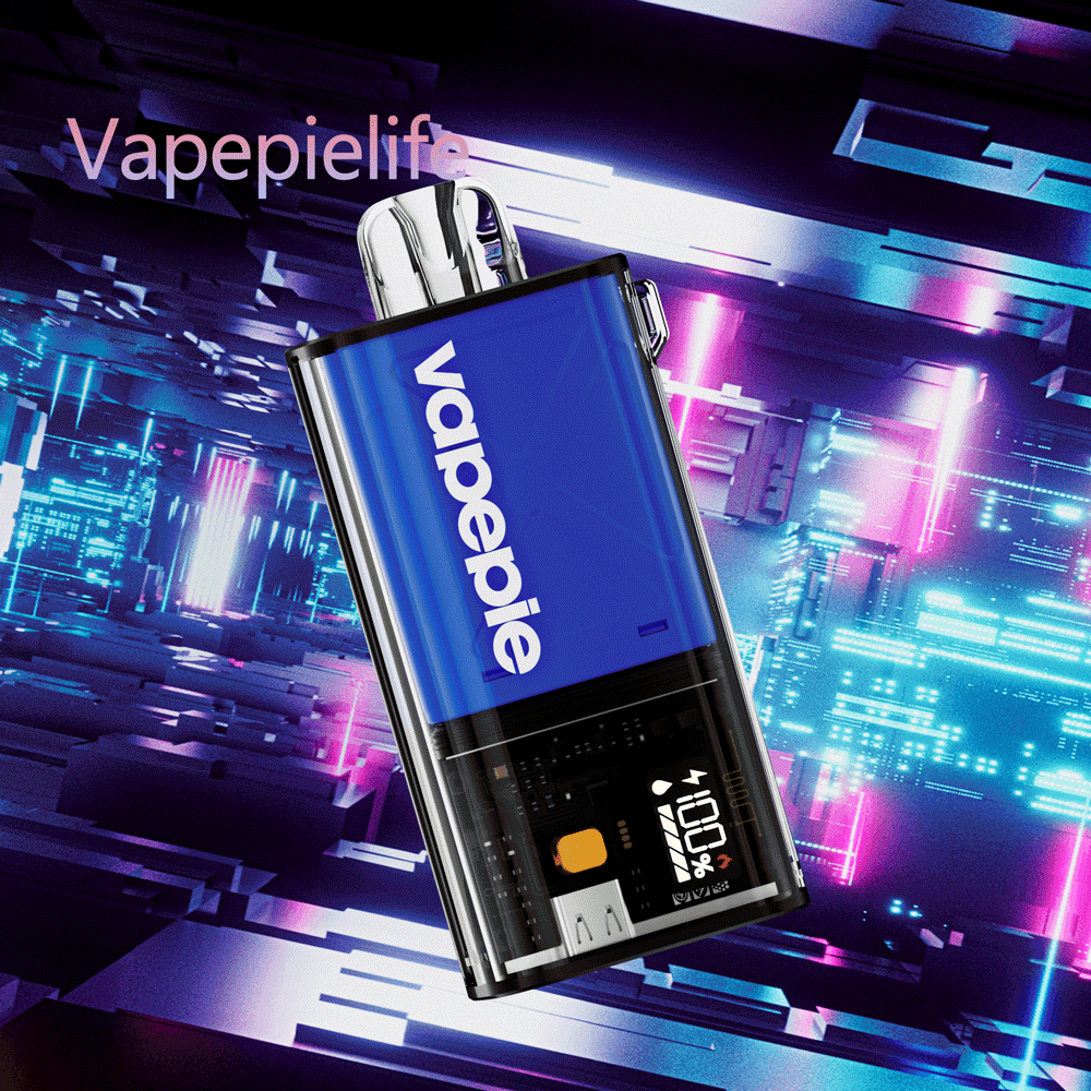 Vapepie Einweg-Pod-Kit 10000