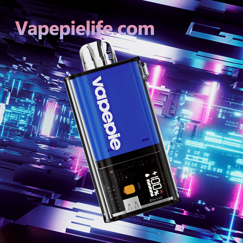 Vapepie Einweg-Pod-Kit 10000