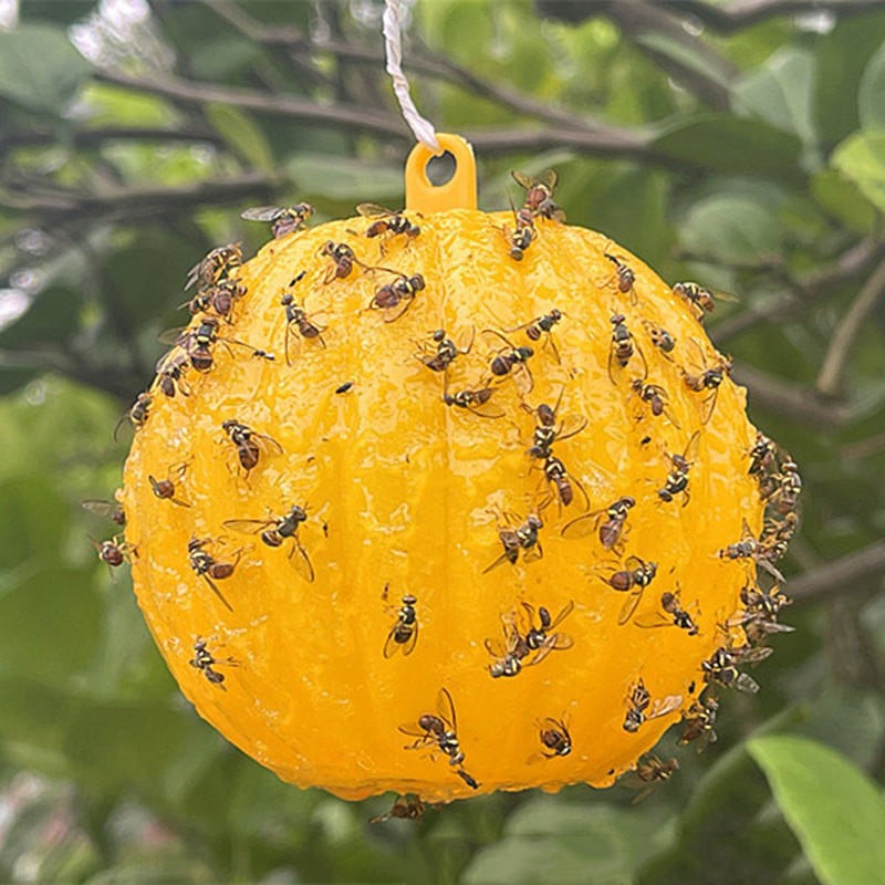 🎁 Hanging Environmental Fruit Fly Traps Sticky Traps