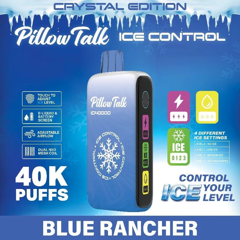 Pillow Talk ICE Control 40000 Puffs【German Warehouse Deals】