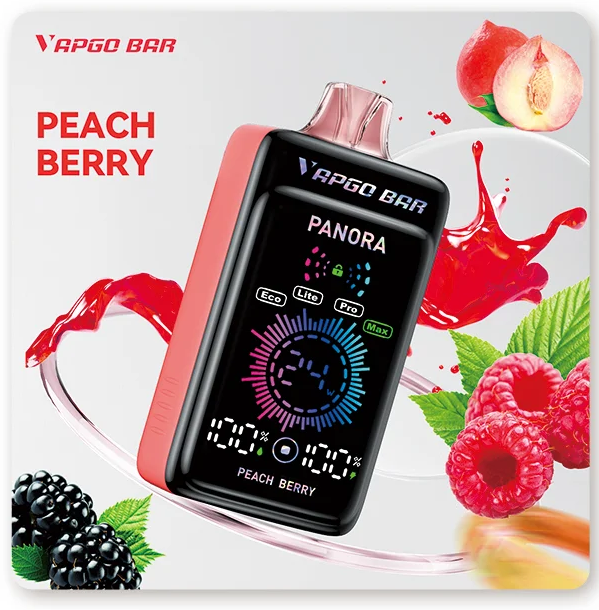 VAPGOBAR Panora 25.000 Züge