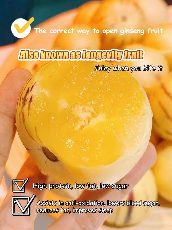 ✨️Rare ginseng fruit seeds🥭Rich in vitamins and minerals!