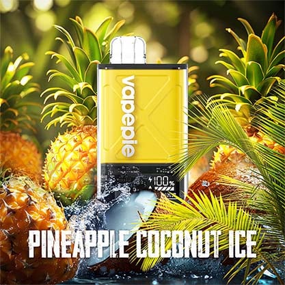 Vapepie Fv 12000 Puffs
