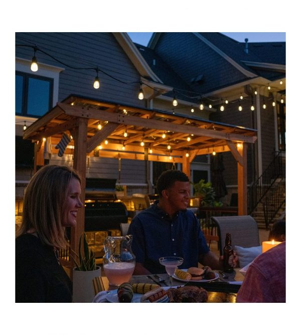 2 full Size Grills, Griddles or Smokers Steel Metal Roof, Wind Resistant – 100 mph, Supports 30 In of Snow, Electrical Outlet, USB, Grilling Hooks