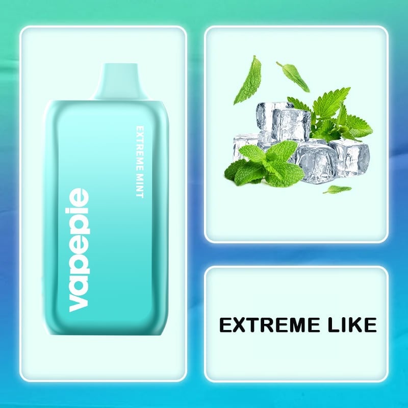 Extreme Mint Flavor Vape | VAPEPIE GHOST AIR 40000 PUFFS