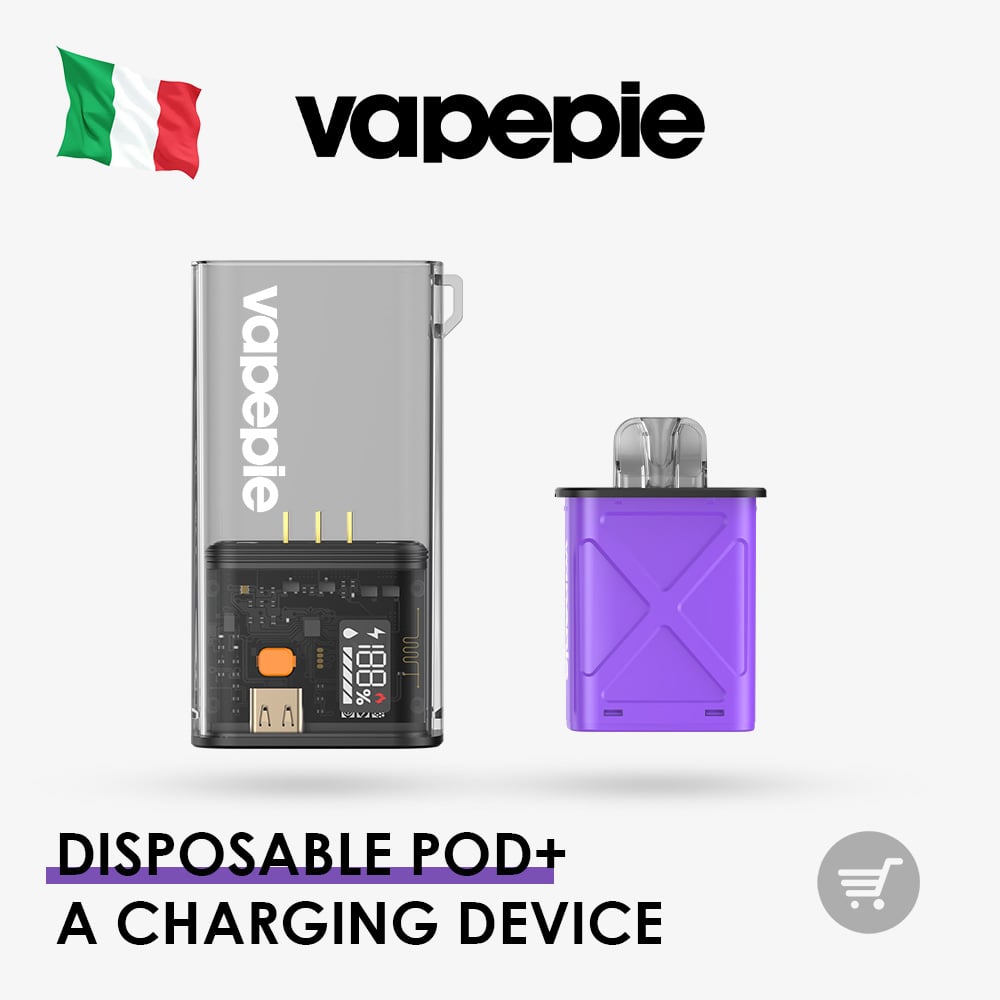 VAPEPIE Disposable Pod 10000 PUFFS+A charging device