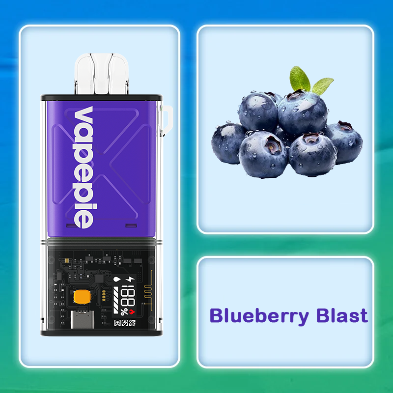 Blueberry Blast Vape | VAPEPIE FlexSwitch 10000 Puffs Replaceable Pod