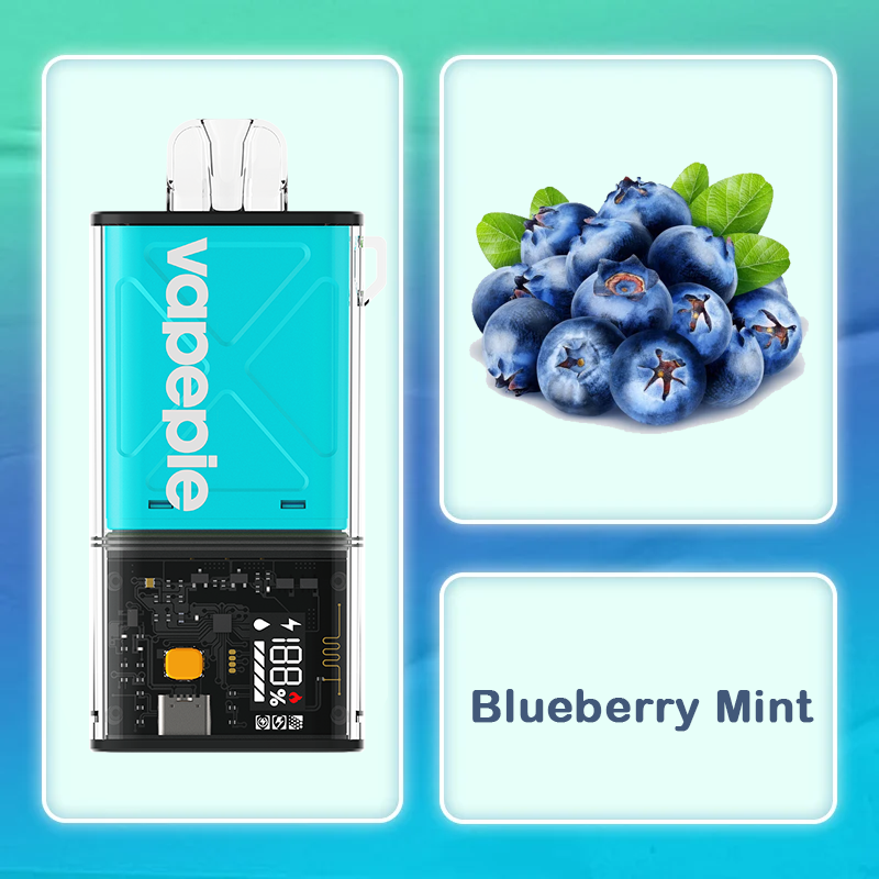 Blueberry Mint Vape | VAPEPIE FlexSwitch 10000 Puffs Replaceable Pod
