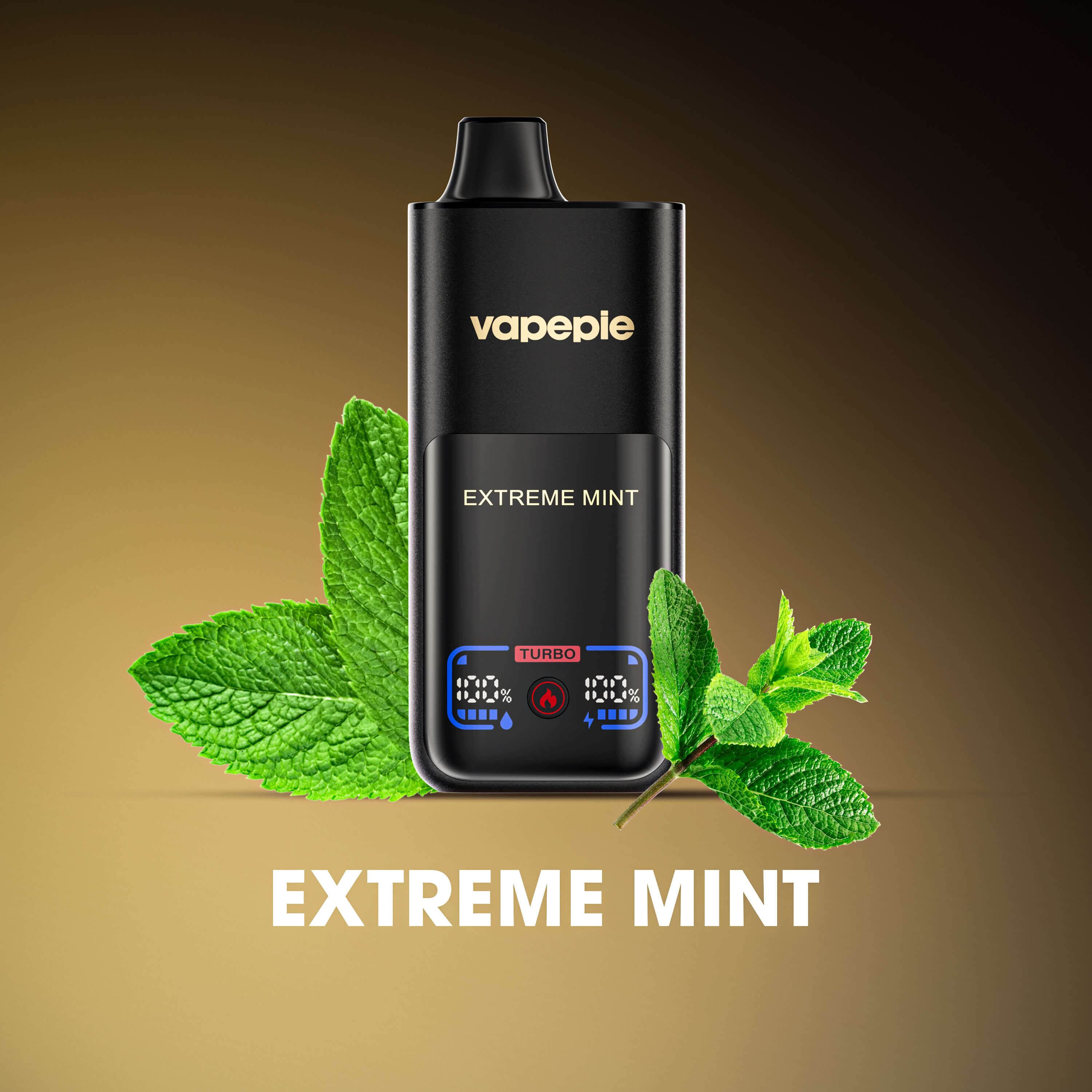 Extreme Mint Flavor VAPEPIE 70000