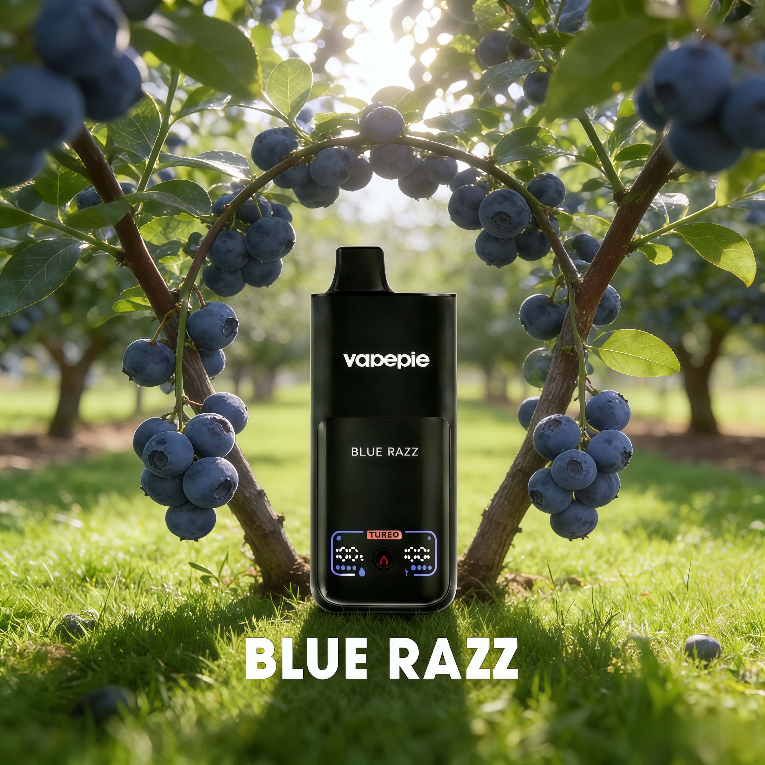 VAPEPIE Blue Razz 70000 Puffs Disposable Vape