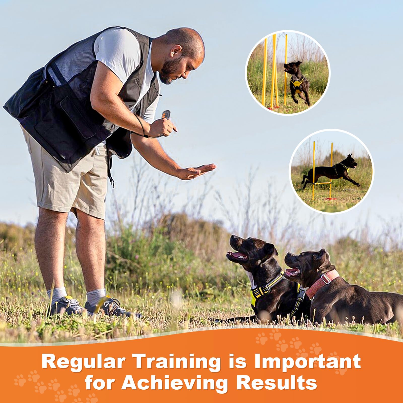 Ultrasonic Bark Control Device – 50FT Range, Rechargeable, Indoor/Outdoor