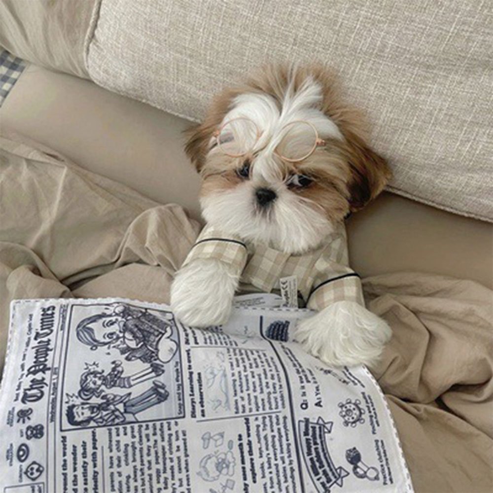 Higomore™ Black And White Pet Rattle Paper Newspaper Toy（Buy 1 get 1 free）