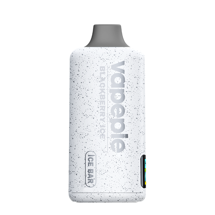 🆕VAPEPIE PowerGo 9800PUFFS-BLACKBERRY ICE