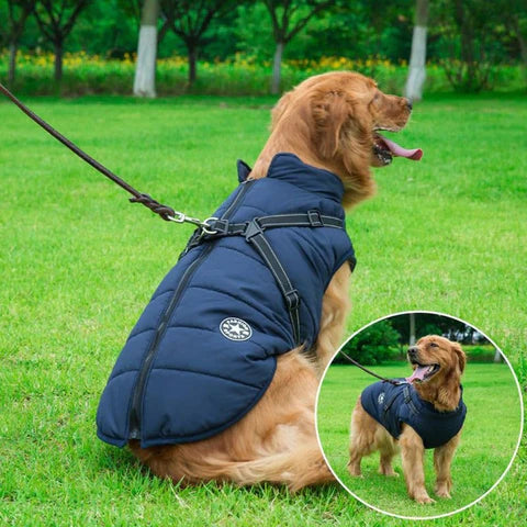 WATERPROOF DOG JACKET WITH HARNESS - Hot Sale 50% Off