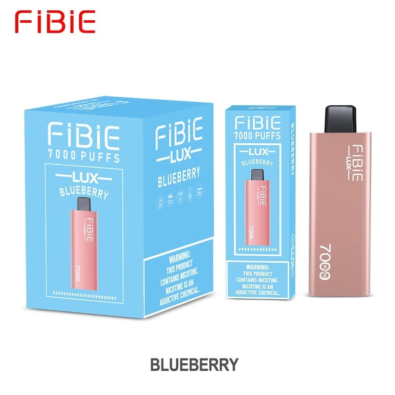 BLUEBERRY-  FIBIE 7000 Puffs (Brushed metal housing)