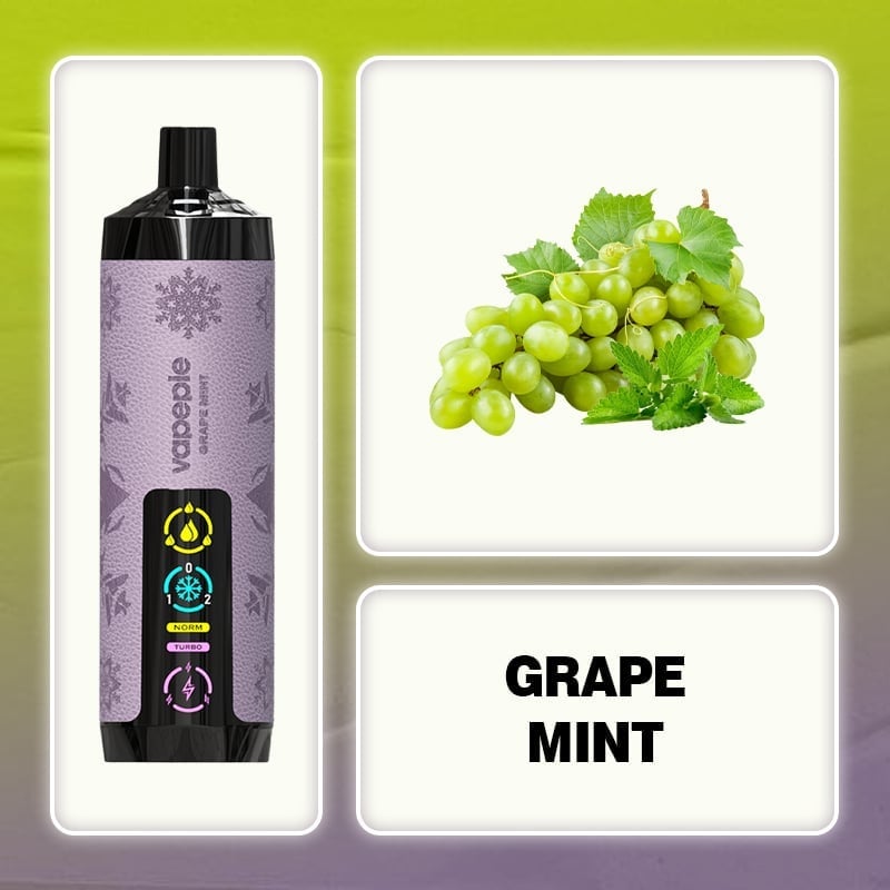 🆕Blue mist ✨VAPEPIE AirPush 30000 PUFFS