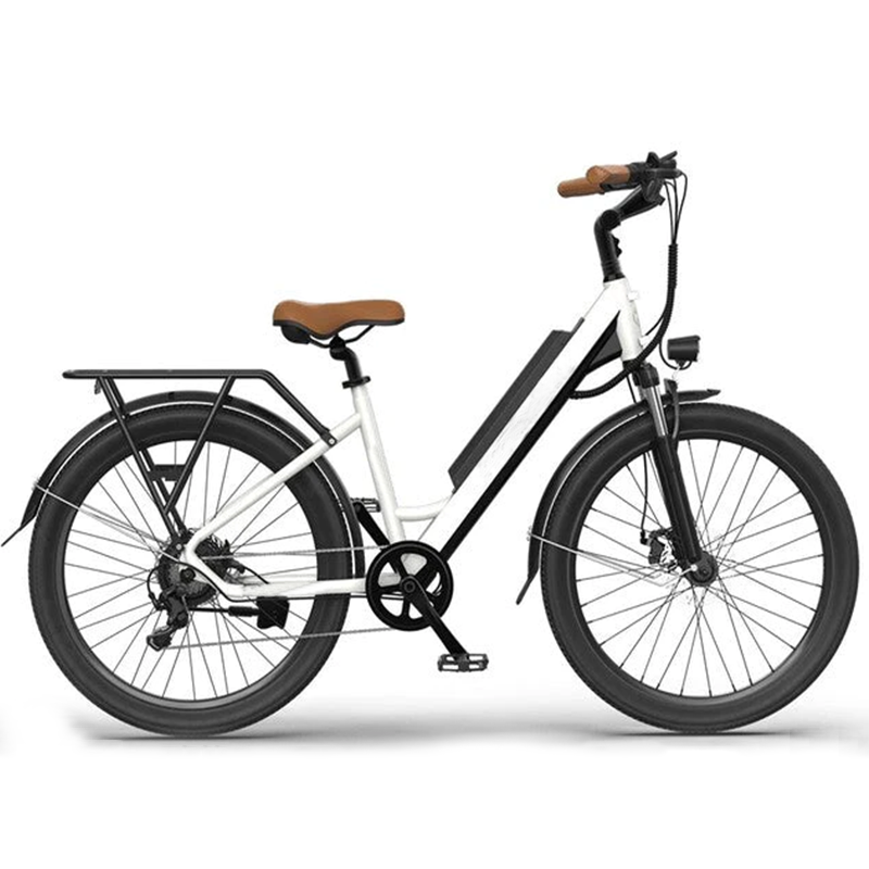 350w electric bike